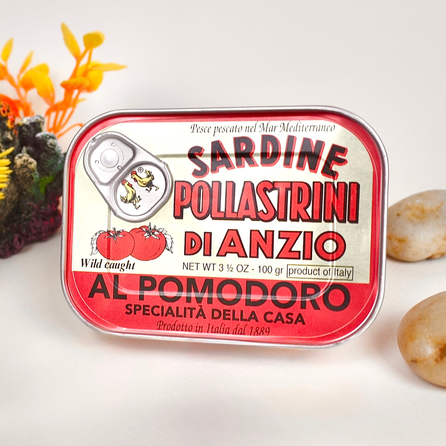 Pollastrini Sardines Al Pomodoro